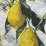 limon-vintage
